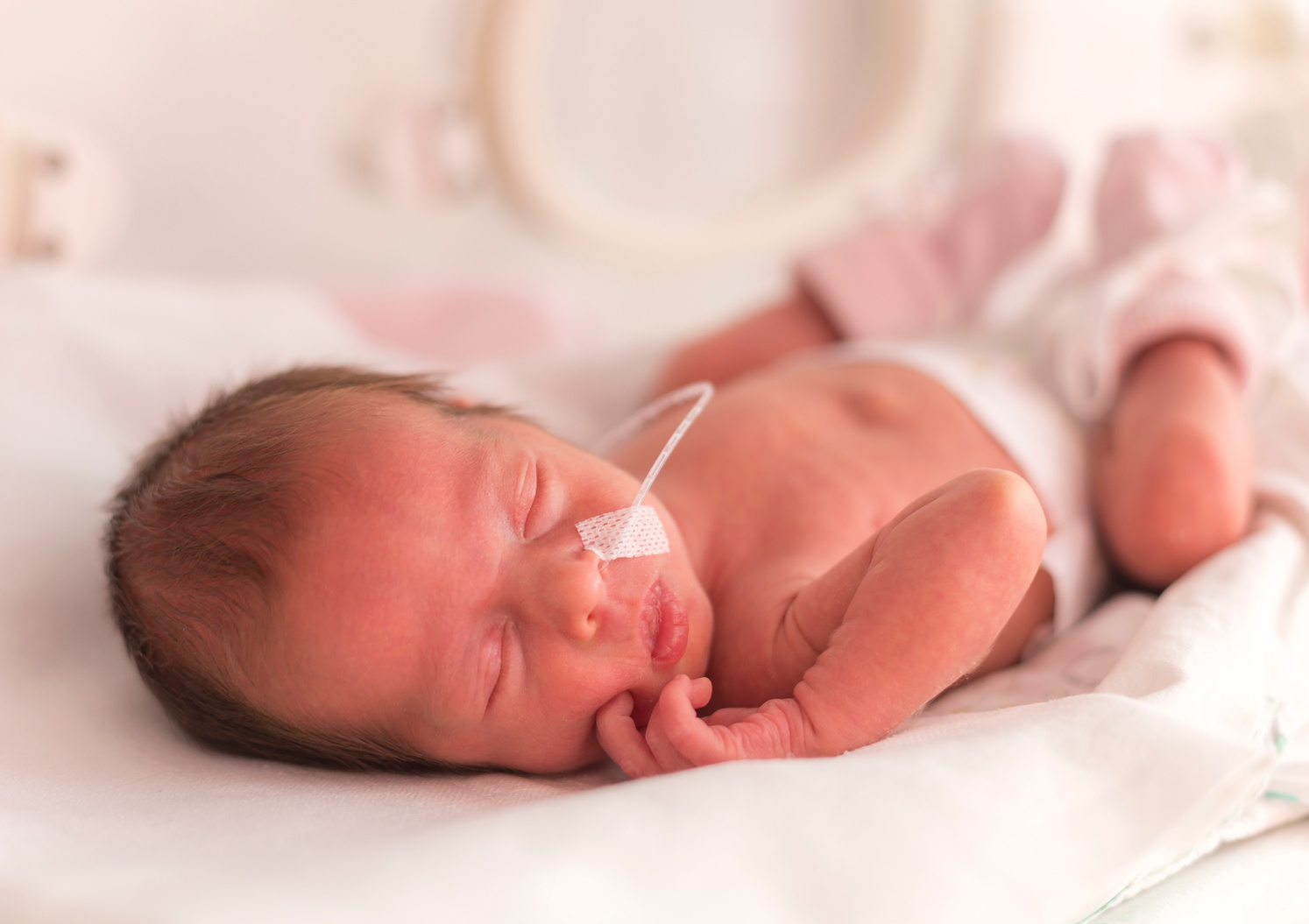 Premature newborn  baby girl
